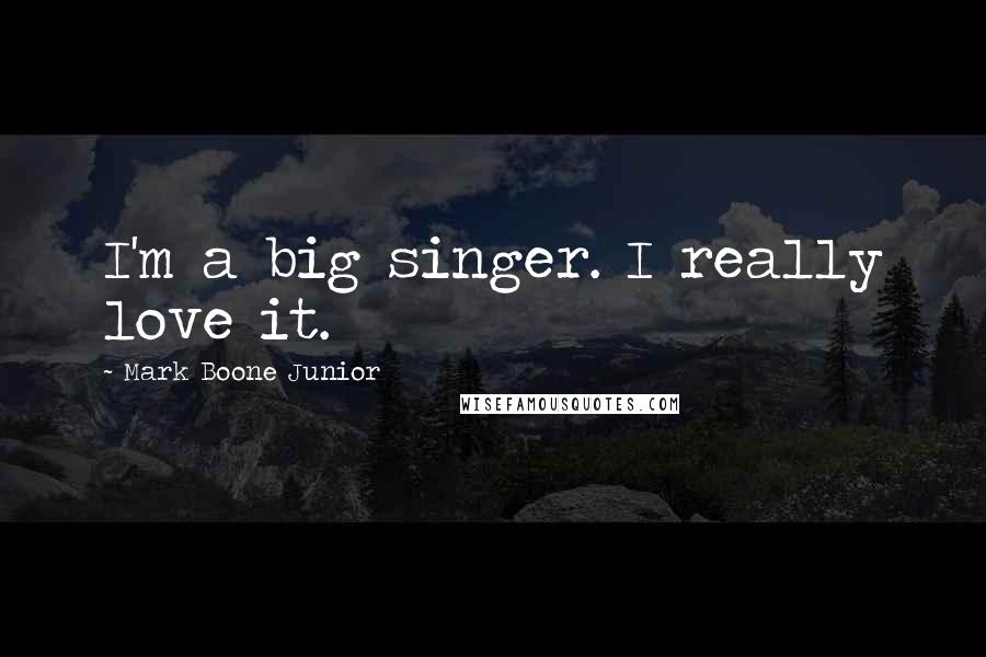 Mark Boone Junior Quotes: I'm a big singer. I really love it.