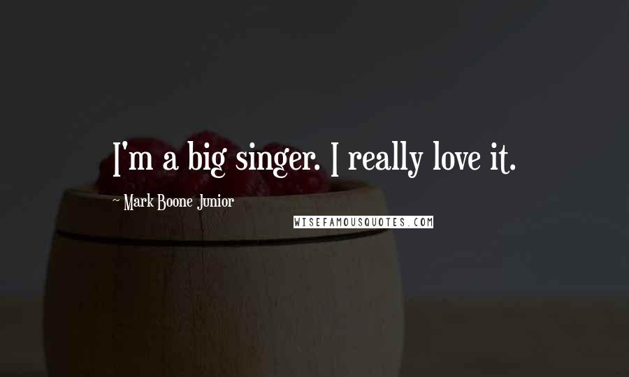 Mark Boone Junior Quotes: I'm a big singer. I really love it.
