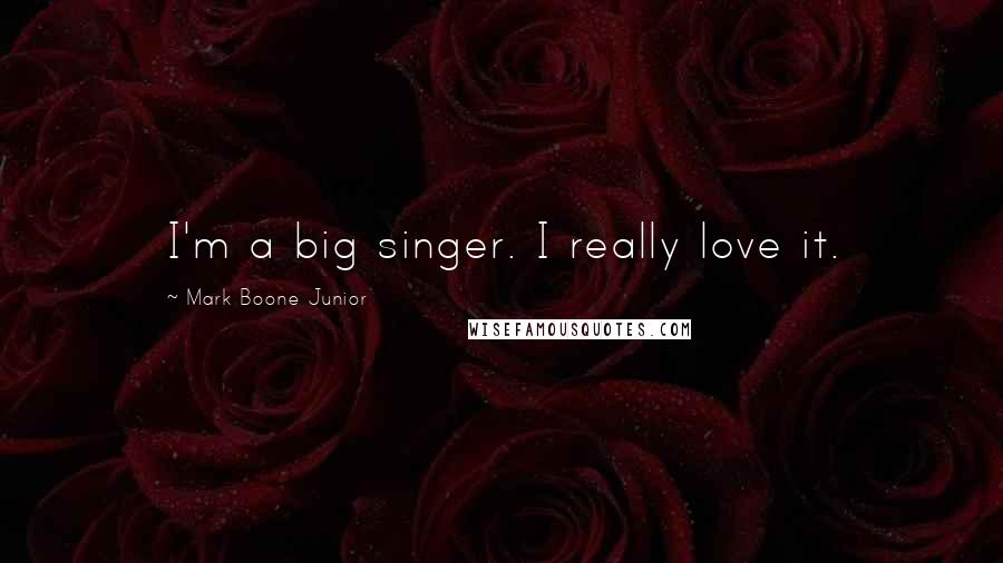 Mark Boone Junior Quotes: I'm a big singer. I really love it.