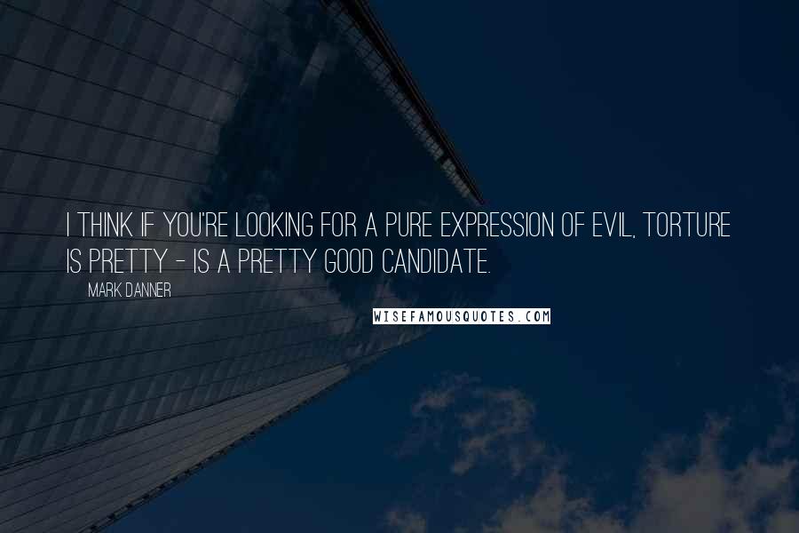 Mark Danner Quotes: I think if you're looking for a pure expression of evil, torture is pretty - is a pretty good candidate.