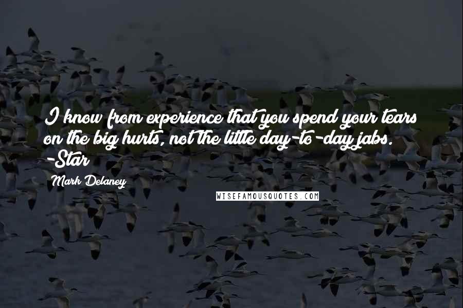 Mark Delaney Quotes: I know from experience that you spend your tears on the big hurts, not the little day-to-day jabs." -Star