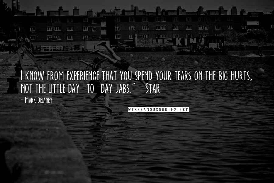 Mark Delaney Quotes: I know from experience that you spend your tears on the big hurts, not the little day-to-day jabs." -Star