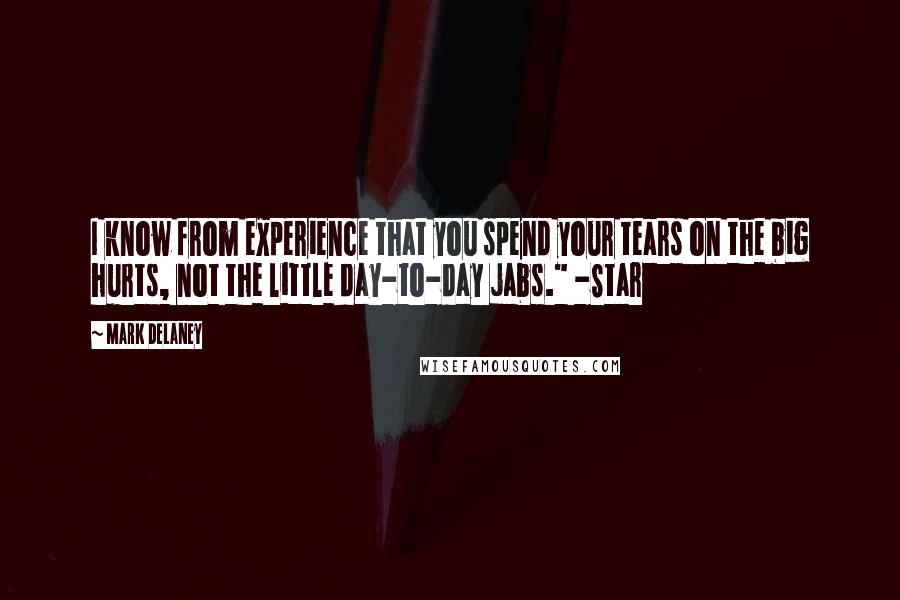 Mark Delaney Quotes: I know from experience that you spend your tears on the big hurts, not the little day-to-day jabs." -Star