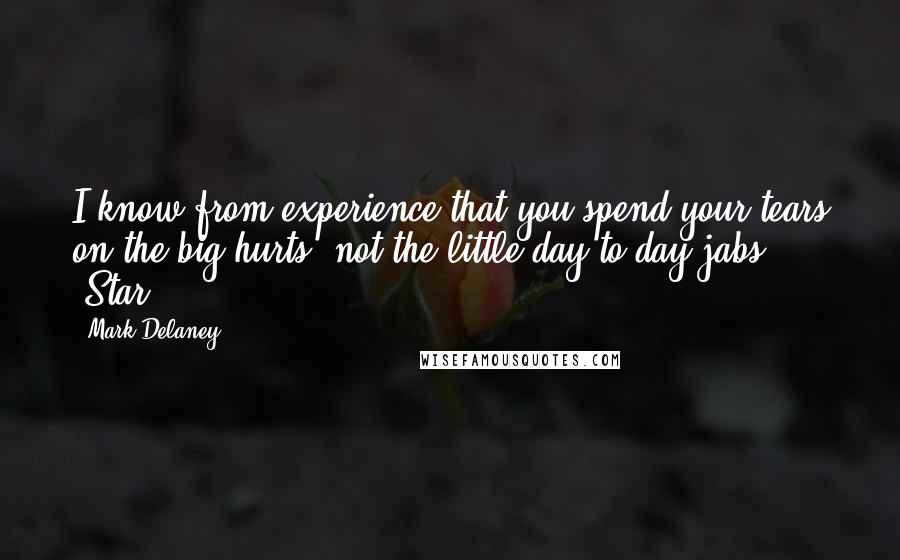 Mark Delaney Quotes: I know from experience that you spend your tears on the big hurts, not the little day-to-day jabs." -Star