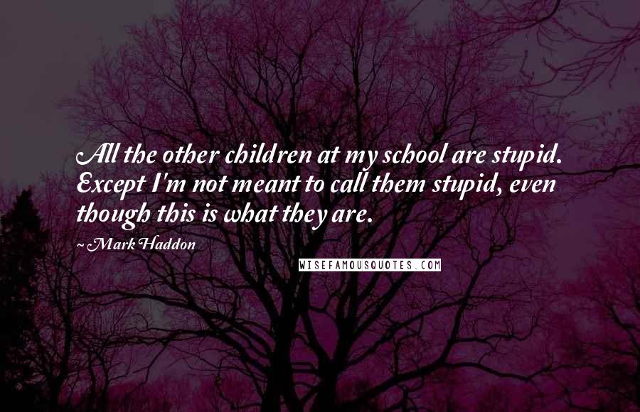 Mark Haddon Quotes: All the other children at my school are stupid. Except I'm not meant to call them stupid, even though this is what they are.