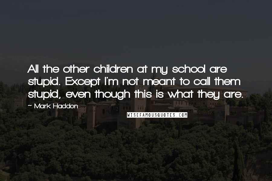 Mark Haddon Quotes: All the other children at my school are stupid. Except I'm not meant to call them stupid, even though this is what they are.