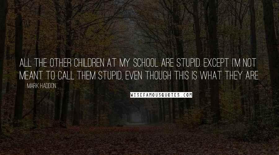 Mark Haddon Quotes: All the other children at my school are stupid. Except I'm not meant to call them stupid, even though this is what they are.