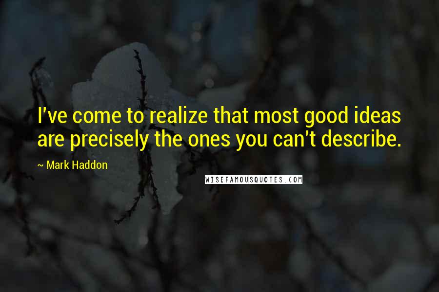 Mark Haddon Quotes: I've come to realize that most good ideas are precisely the ones you can't describe.