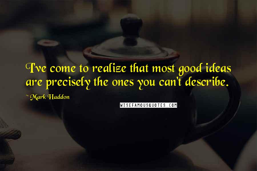 Mark Haddon Quotes: I've come to realize that most good ideas are precisely the ones you can't describe.