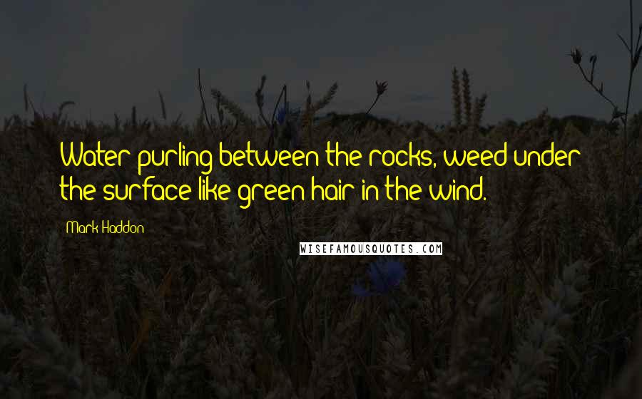 Mark Haddon Quotes: Water purling between the rocks, weed under the surface like green hair in the wind.