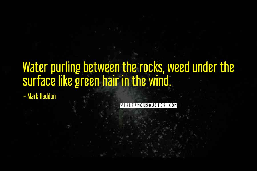 Mark Haddon Quotes: Water purling between the rocks, weed under the surface like green hair in the wind.