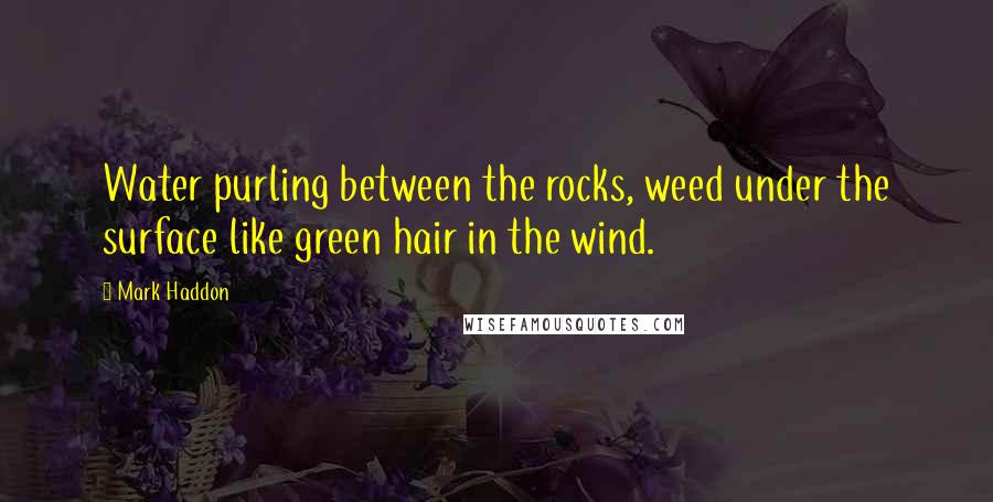Mark Haddon Quotes: Water purling between the rocks, weed under the surface like green hair in the wind.