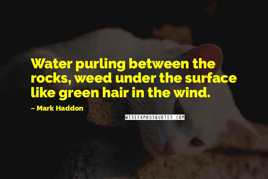 Mark Haddon Quotes: Water purling between the rocks, weed under the surface like green hair in the wind.