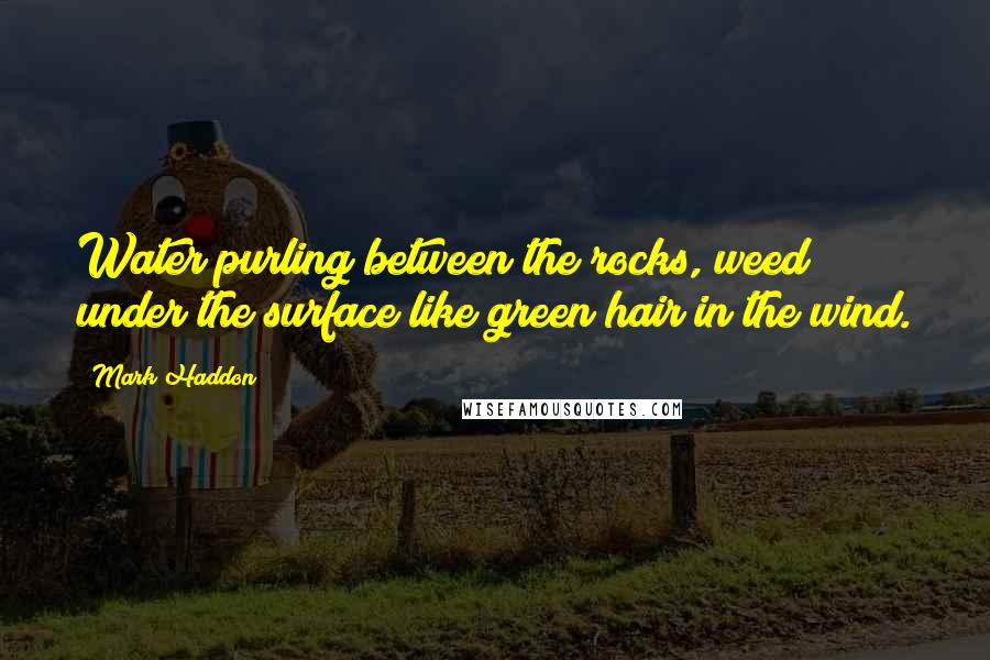 Mark Haddon Quotes: Water purling between the rocks, weed under the surface like green hair in the wind.