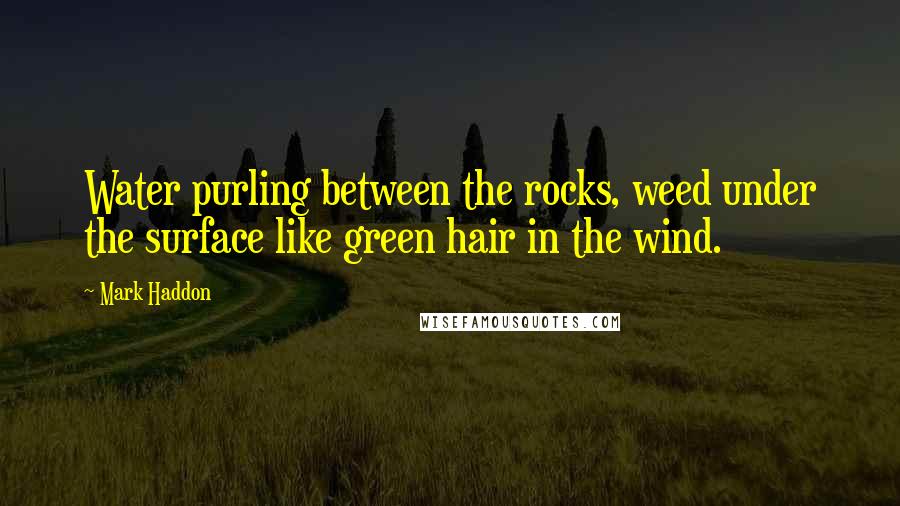 Mark Haddon Quotes: Water purling between the rocks, weed under the surface like green hair in the wind.