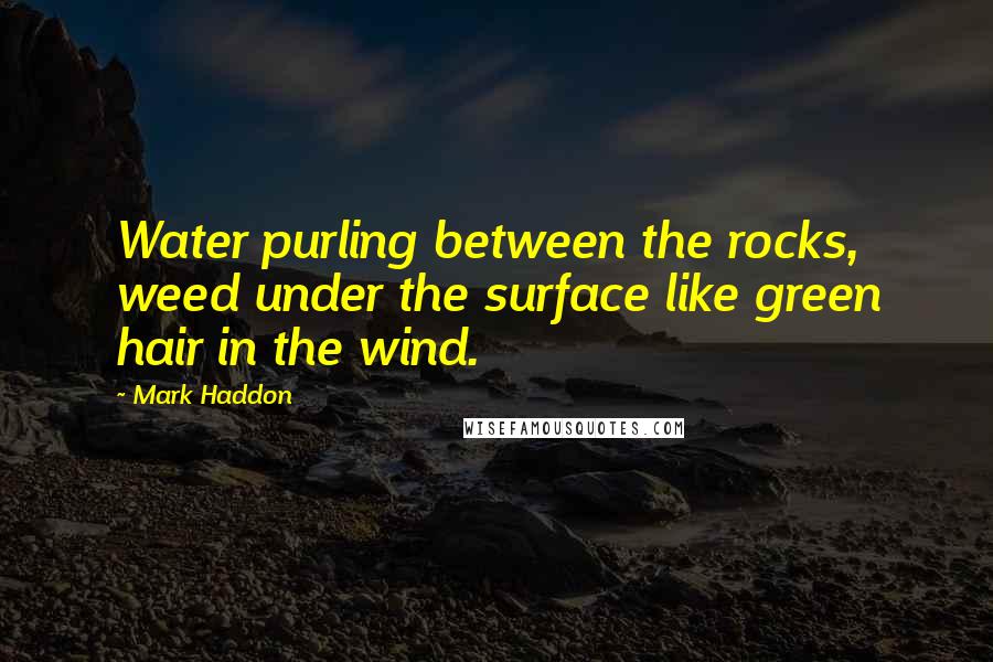 Mark Haddon Quotes: Water purling between the rocks, weed under the surface like green hair in the wind.