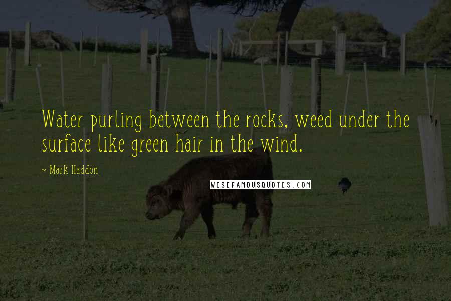 Mark Haddon Quotes: Water purling between the rocks, weed under the surface like green hair in the wind.