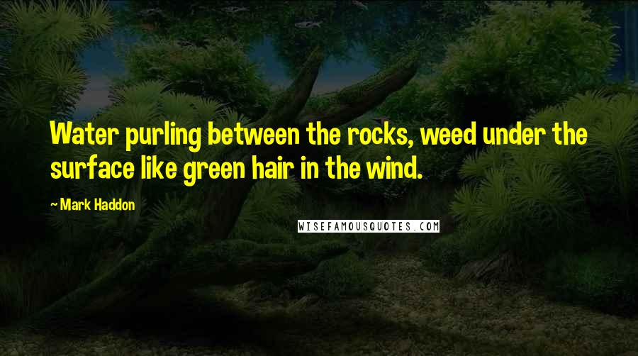 Mark Haddon Quotes: Water purling between the rocks, weed under the surface like green hair in the wind.