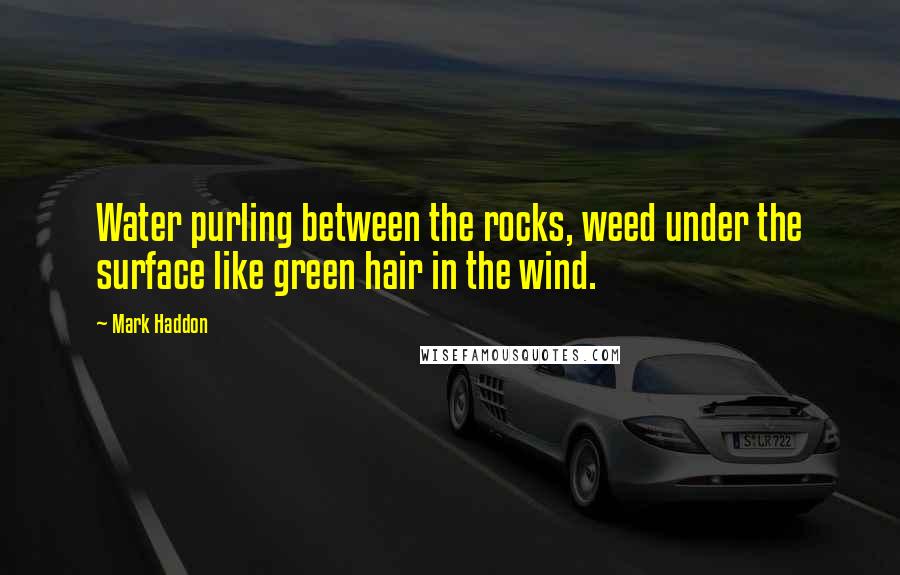 Mark Haddon Quotes: Water purling between the rocks, weed under the surface like green hair in the wind.