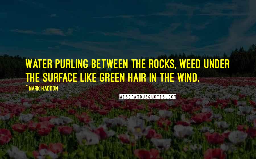 Mark Haddon Quotes: Water purling between the rocks, weed under the surface like green hair in the wind.