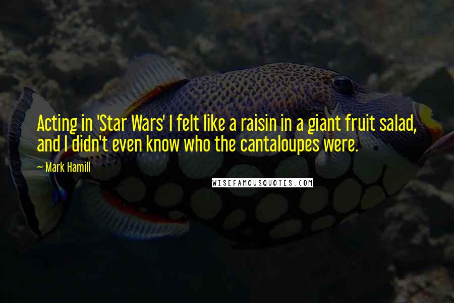 Mark Hamill Quotes: Acting in 'Star Wars' I felt like a raisin in a giant fruit salad, and I didn't even know who the cantaloupes were.