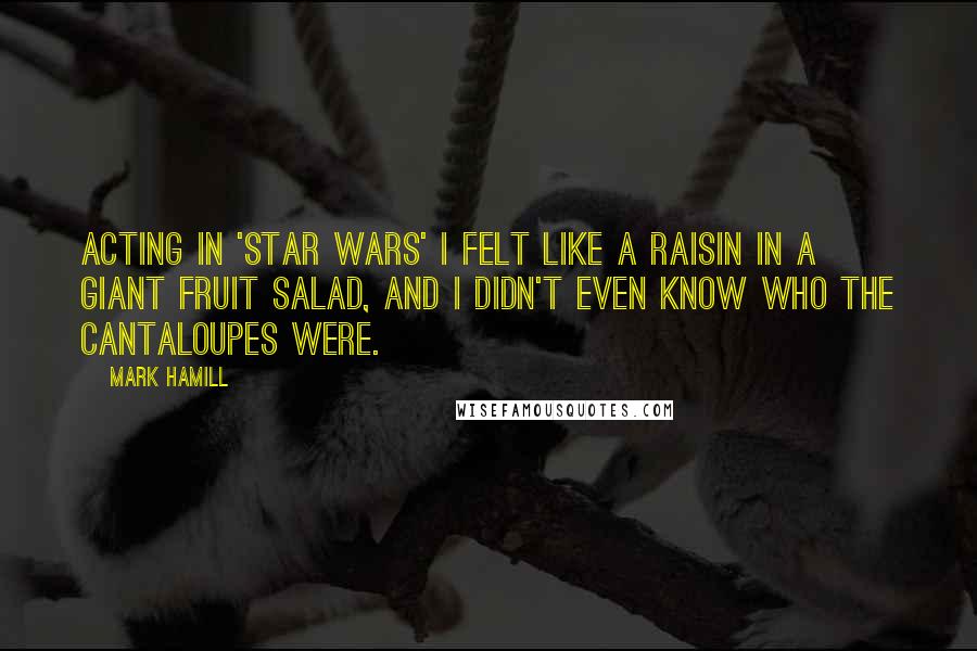 Mark Hamill Quotes: Acting in 'Star Wars' I felt like a raisin in a giant fruit salad, and I didn't even know who the cantaloupes were.