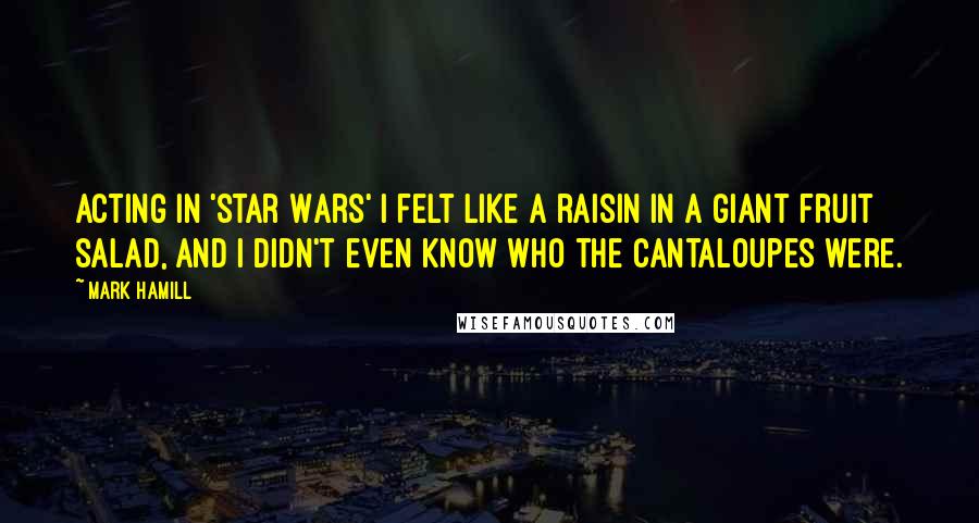 Mark Hamill Quotes: Acting in 'Star Wars' I felt like a raisin in a giant fruit salad, and I didn't even know who the cantaloupes were.