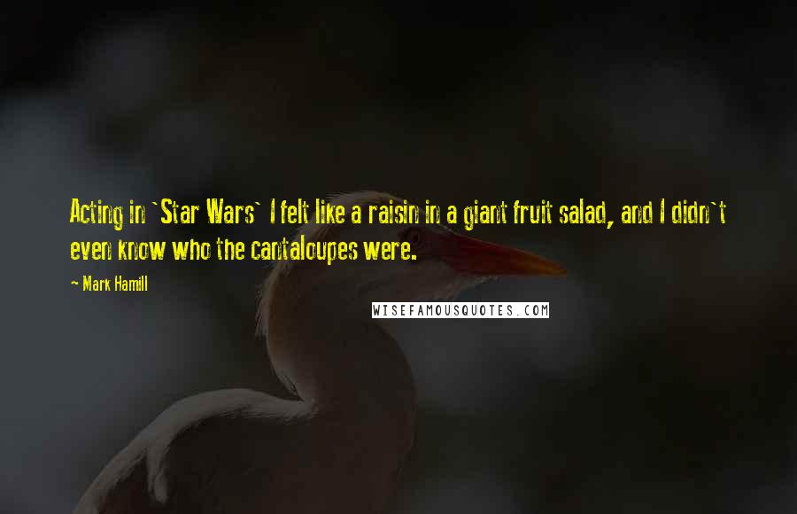 Mark Hamill Quotes: Acting in 'Star Wars' I felt like a raisin in a giant fruit salad, and I didn't even know who the cantaloupes were.