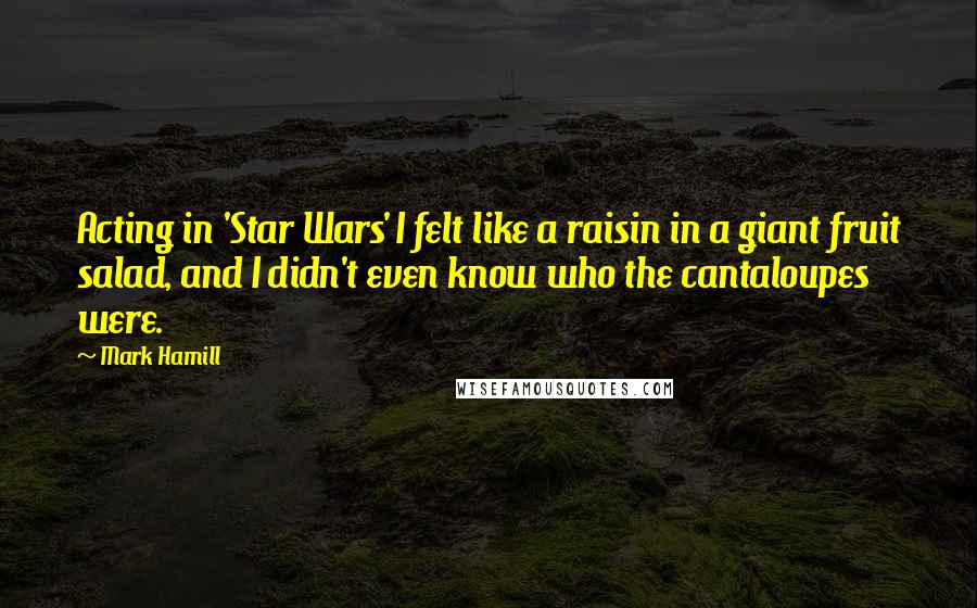 Mark Hamill Quotes: Acting in 'Star Wars' I felt like a raisin in a giant fruit salad, and I didn't even know who the cantaloupes were.