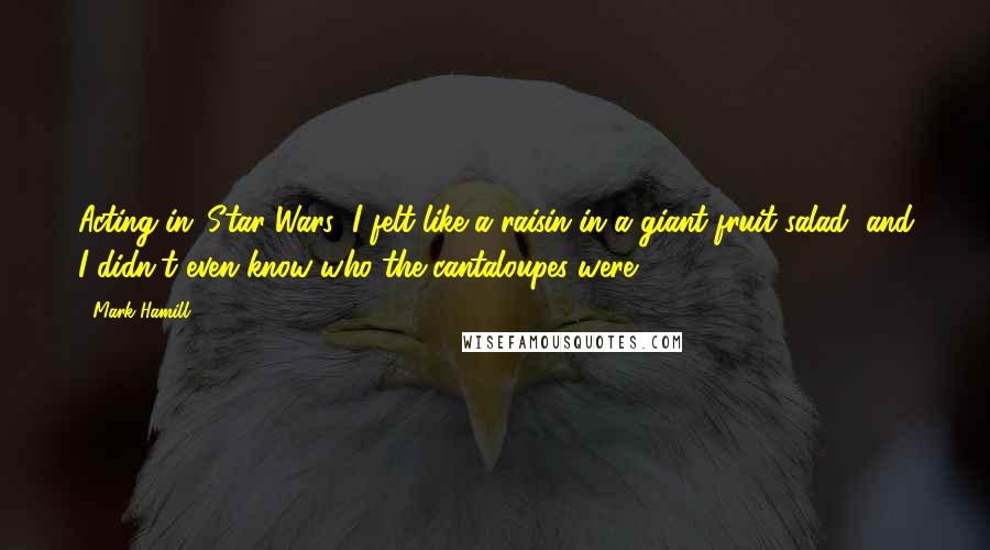 Mark Hamill Quotes: Acting in 'Star Wars' I felt like a raisin in a giant fruit salad, and I didn't even know who the cantaloupes were.