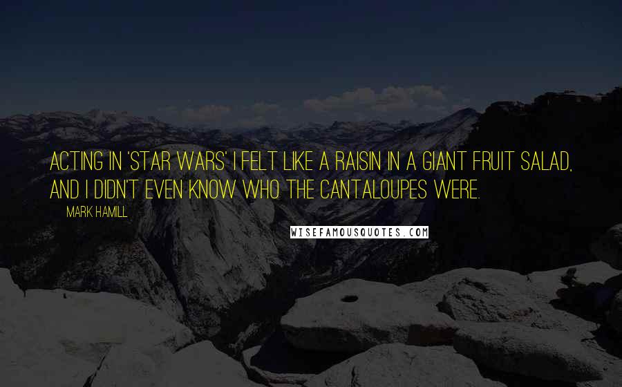 Mark Hamill Quotes: Acting in 'Star Wars' I felt like a raisin in a giant fruit salad, and I didn't even know who the cantaloupes were.