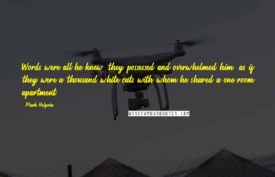 Mark Helprin Quotes: Words were all he knew; they possessed and overwhelmed him, as if they were a thousand white cats with whom he shared a one-room apartment.