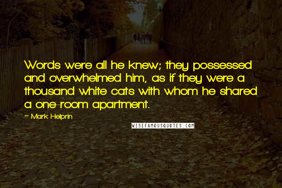 Mark Helprin Quotes: Words were all he knew; they possessed and overwhelmed him, as if they were a thousand white cats with whom he shared a one-room apartment.