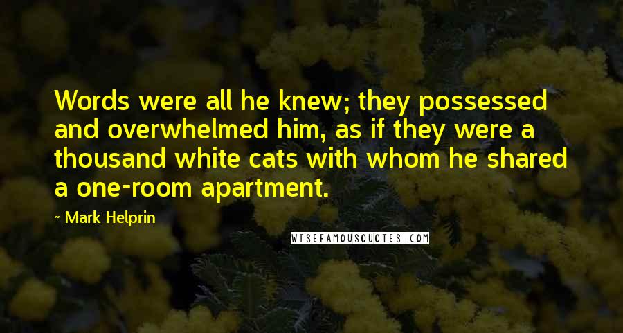 Mark Helprin Quotes: Words were all he knew; they possessed and overwhelmed him, as if they were a thousand white cats with whom he shared a one-room apartment.