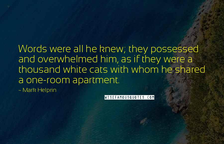 Mark Helprin Quotes: Words were all he knew; they possessed and overwhelmed him, as if they were a thousand white cats with whom he shared a one-room apartment.