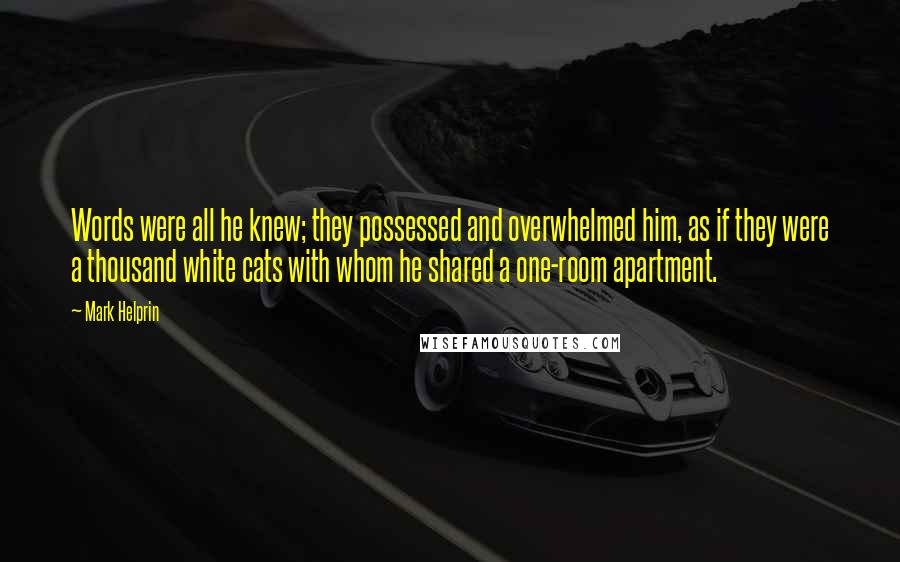 Mark Helprin Quotes: Words were all he knew; they possessed and overwhelmed him, as if they were a thousand white cats with whom he shared a one-room apartment.