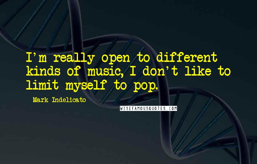 Mark Indelicato Quotes: I'm really open to different kinds of music, I don't like to limit myself to pop.