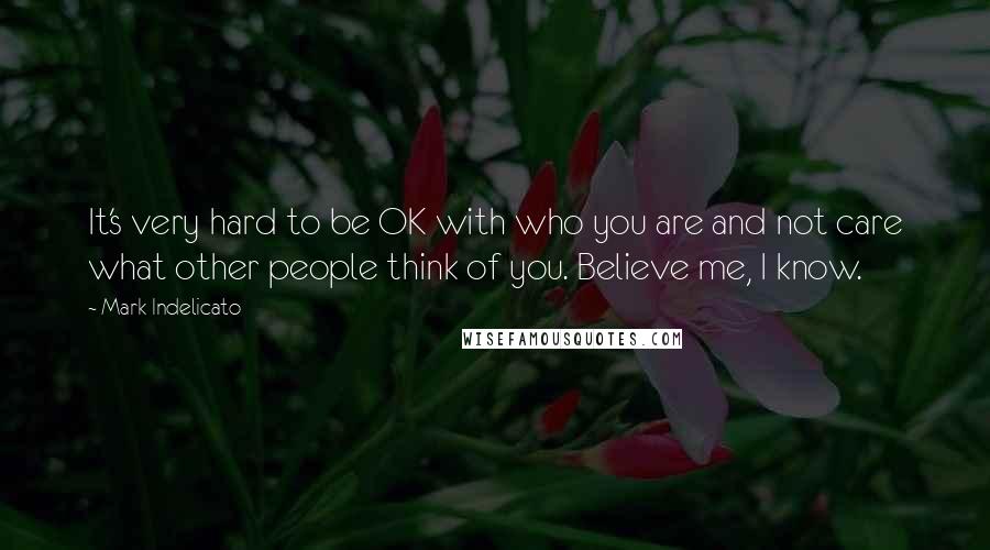 Mark Indelicato Quotes: It's very hard to be OK with who you are and not care what other people think of you. Believe me, I know.