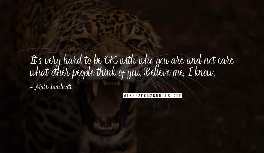 Mark Indelicato Quotes: It's very hard to be OK with who you are and not care what other people think of you. Believe me, I know.