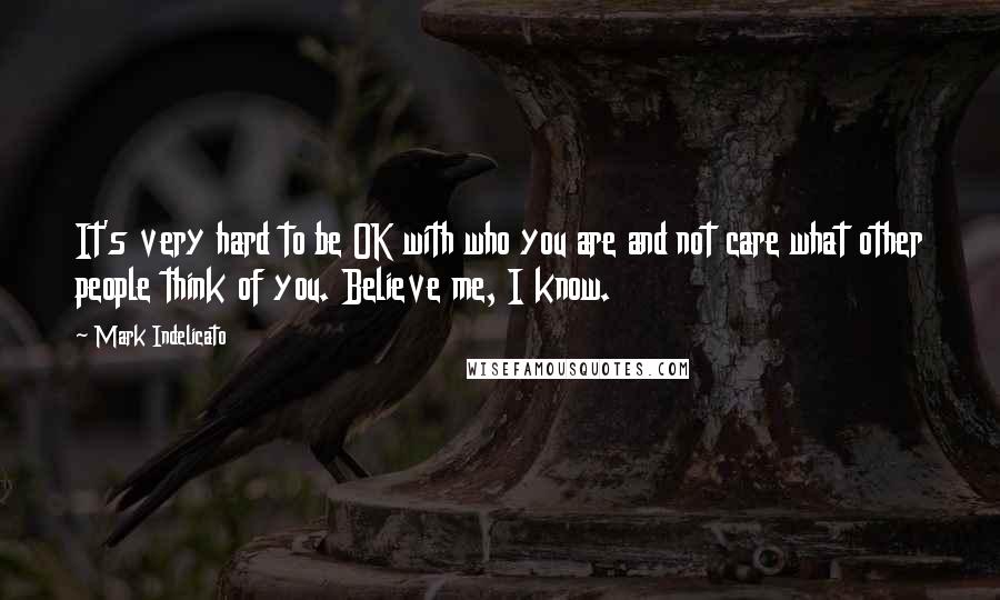 Mark Indelicato Quotes: It's very hard to be OK with who you are and not care what other people think of you. Believe me, I know.