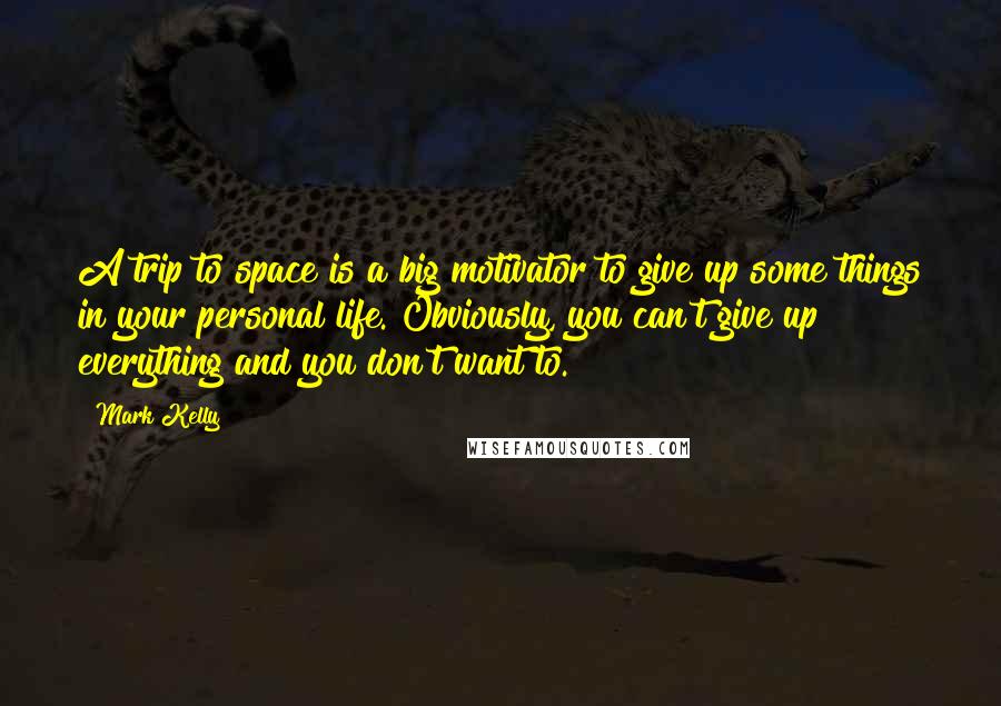 Mark Kelly Quotes: A trip to space is a big motivator to give up some things in your personal life. Obviously, you can't give up everything and you don't want to.