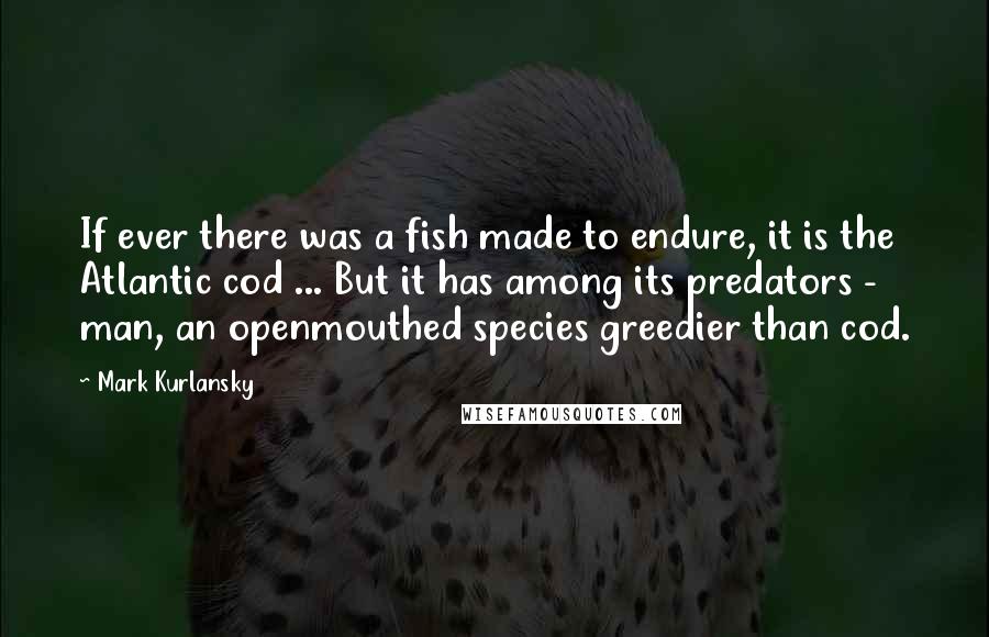 Mark Kurlansky Quotes: If ever there was a fish made to endure, it is the Atlantic cod ... But it has among its predators - man, an openmouthed species greedier than cod.