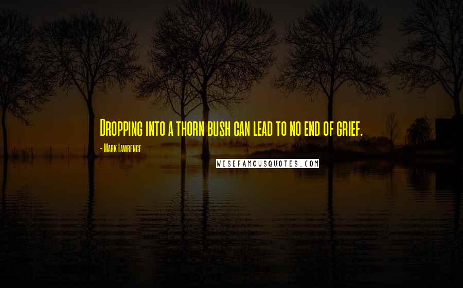 Mark Lawrence Quotes: Dropping into a thorn bush can lead to no end of grief.