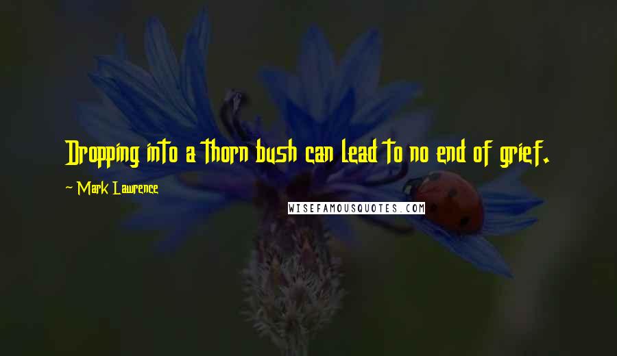 Mark Lawrence Quotes: Dropping into a thorn bush can lead to no end of grief.