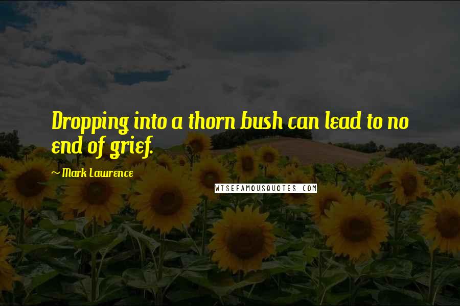 Mark Lawrence Quotes: Dropping into a thorn bush can lead to no end of grief.