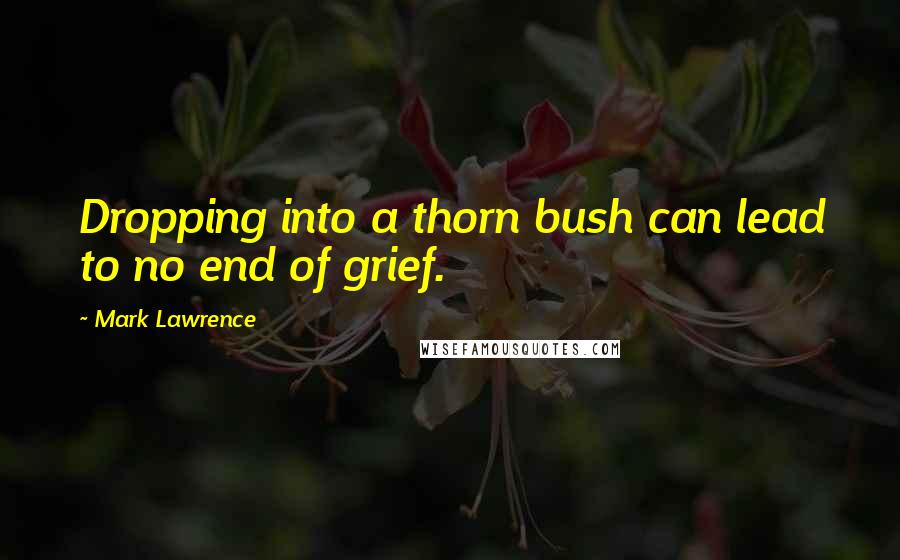 Mark Lawrence Quotes: Dropping into a thorn bush can lead to no end of grief.