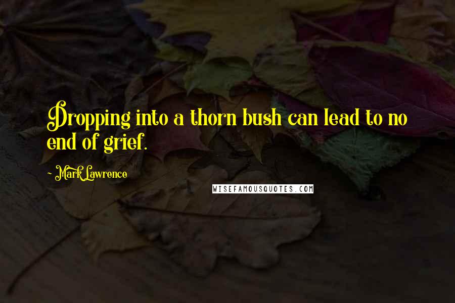 Mark Lawrence Quotes: Dropping into a thorn bush can lead to no end of grief.