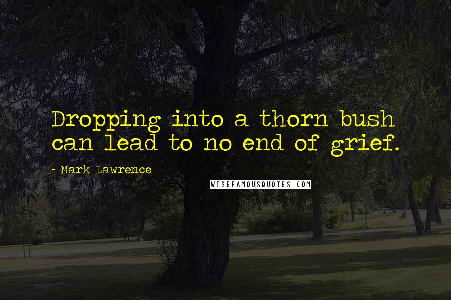 Mark Lawrence Quotes: Dropping into a thorn bush can lead to no end of grief.