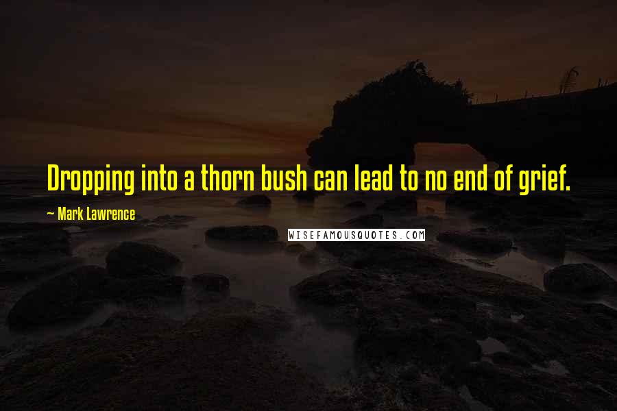 Mark Lawrence Quotes: Dropping into a thorn bush can lead to no end of grief.