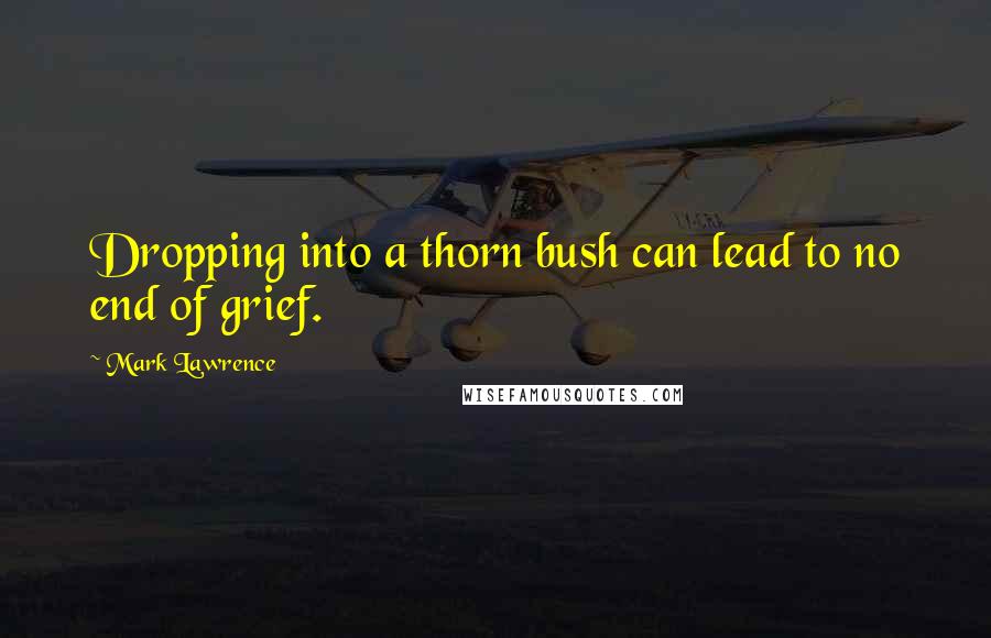 Mark Lawrence Quotes: Dropping into a thorn bush can lead to no end of grief.